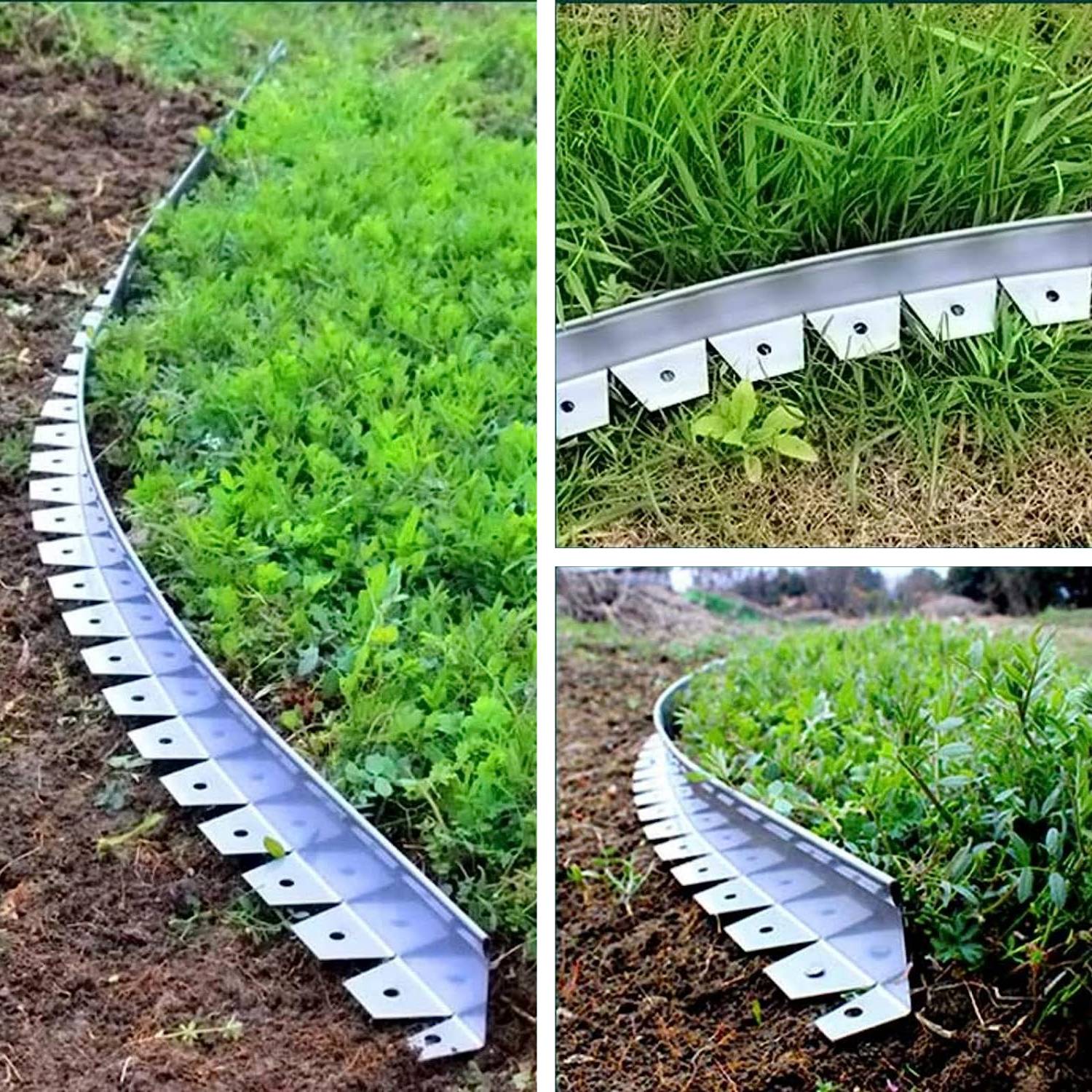 Stainless Garden Edging: image 8