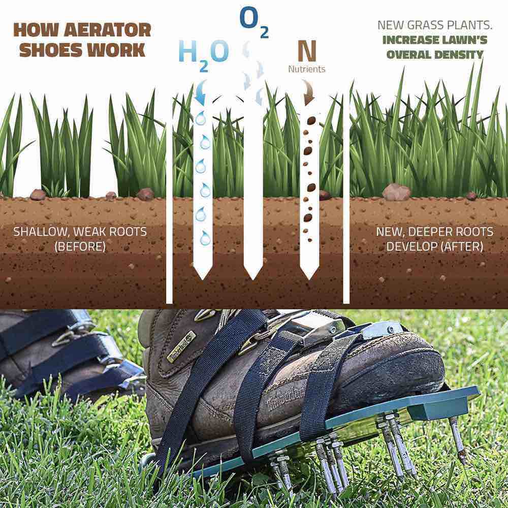 Aerator Shoes: image 5