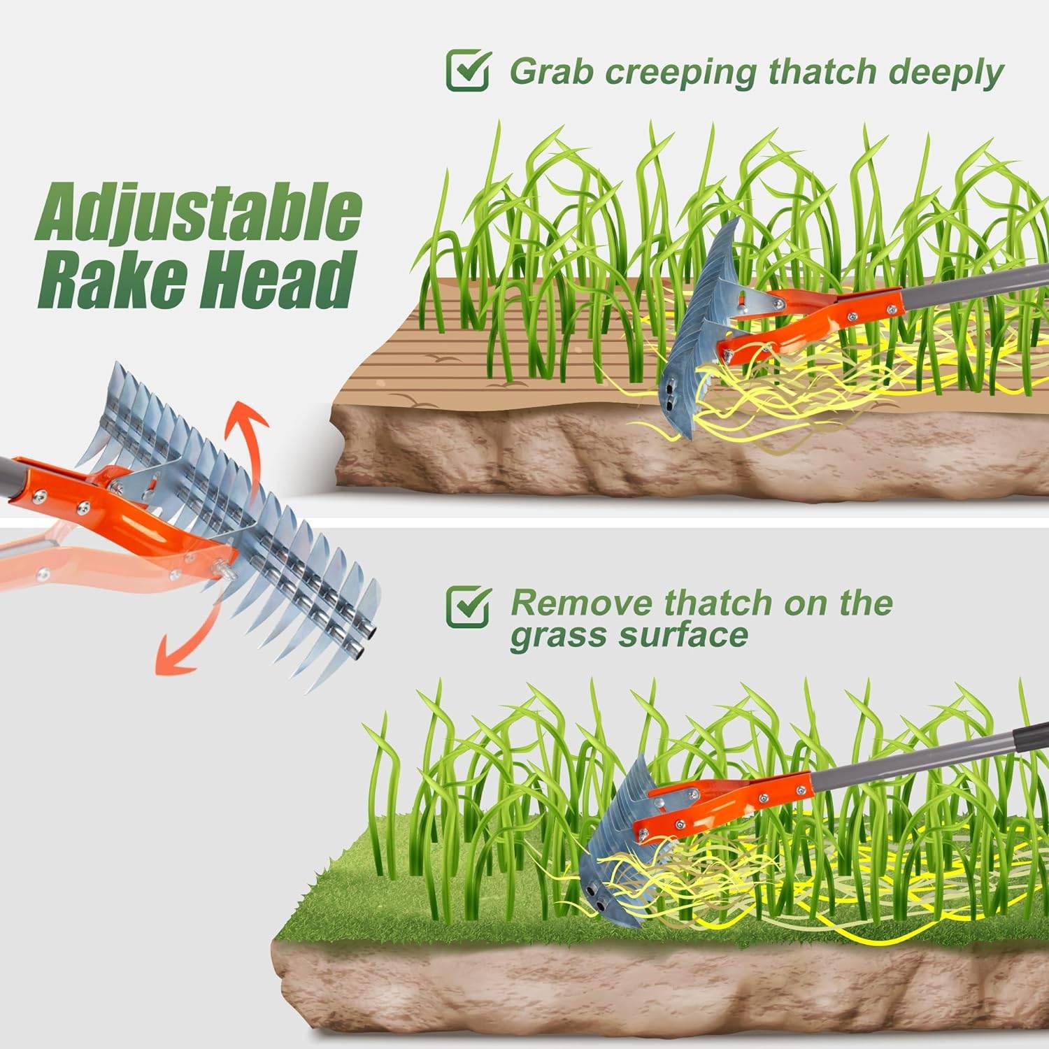 Lawn Thatching Rake: image 3